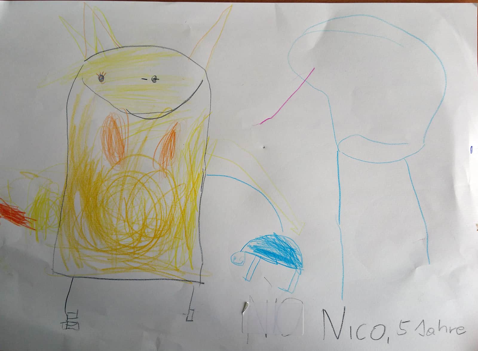 vcca2016-nico-5-jahre vcca2016-nico-5-jahre